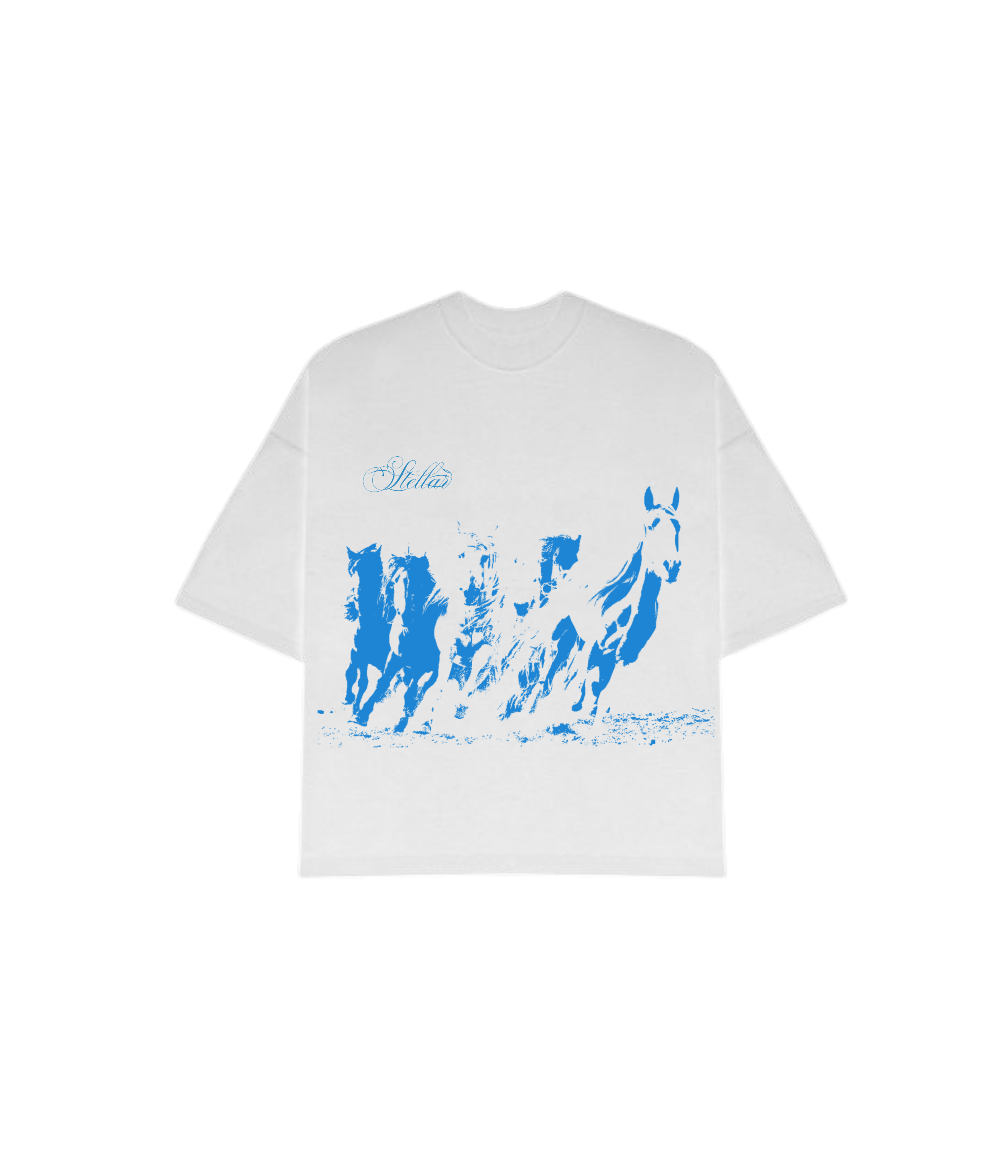 RACEHORSE OVERSIZED TEE